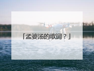 孟婆汤的歌词？