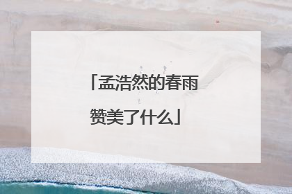 孟浩然的春雨赞美了什么