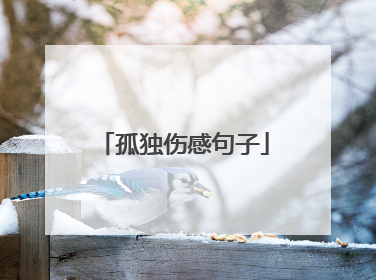 孤独伤感句子