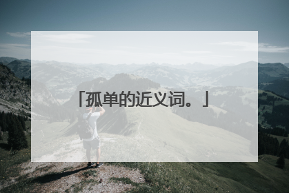 孤单的近义词。