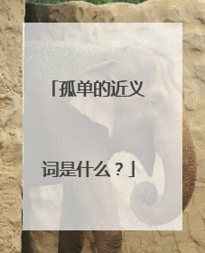 孤单的近义词是什么?