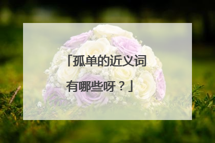 孤单的近义词有哪些呀?