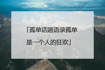 孤单话题语录孤单是一个人的狂欢