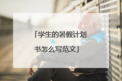 学生的暑假计划书怎么写范文