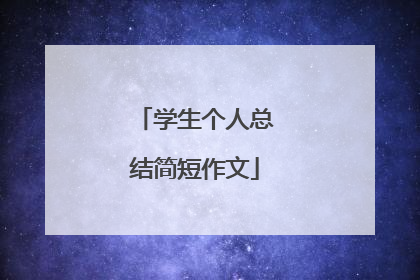 学生个人总结简短作文