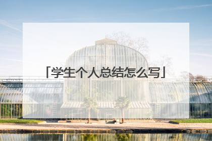 学生个人总结怎么写