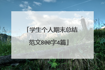 学生个人期末总结范文800字4篇