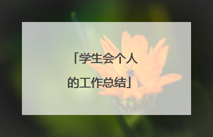 学生会个人的工作总结