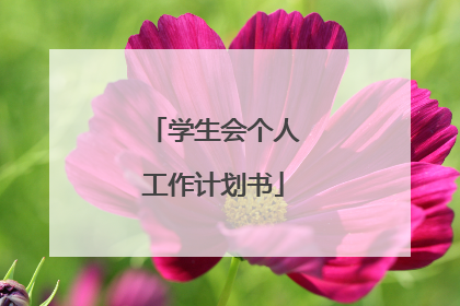 学生会个人工作计划书
