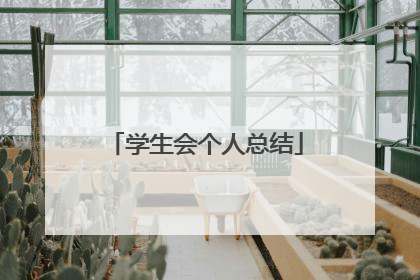 学生会个人总结