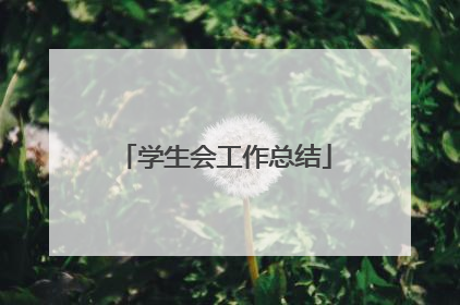 学生会工作总结