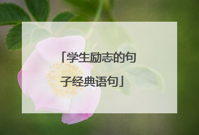 学生励志的句子经典语句
