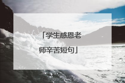 学生感恩老师辛苦短句