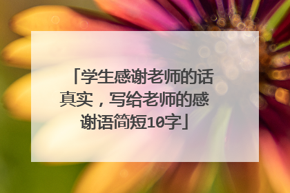 学生感谢老师的话真实，写给老师的感谢语简短10字