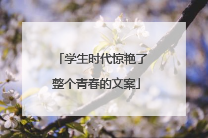 学生时代惊艳了整个青春的文案