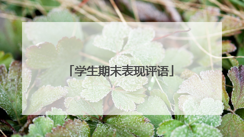 学生期末表现评语