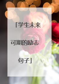 学生未来可期的励志句子