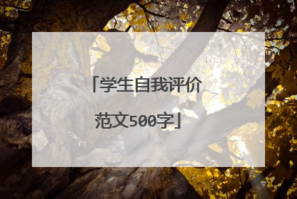 学生自我评价范文500字