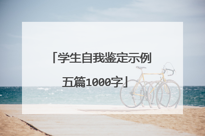 学生自我鉴定示例五篇1000字
