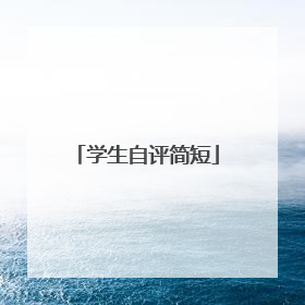学生自评简短