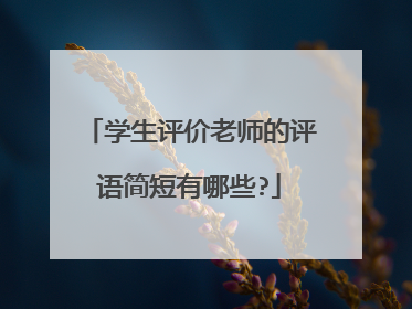 学生评价老师的评语简短有哪些?