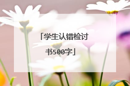 学生认错检讨书500字