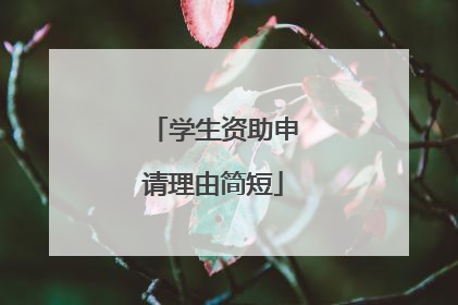 学生资助申请理由简短