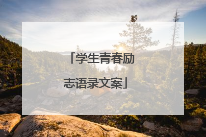 学生青春励志语录文案