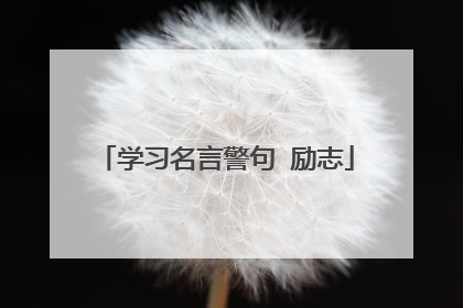 学习名言警句 励志