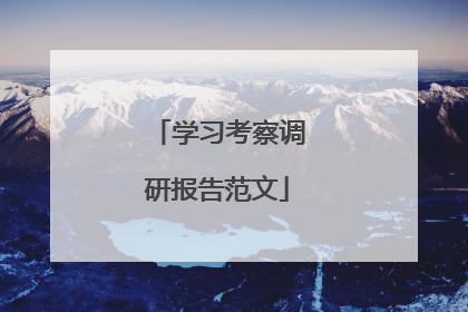 学习考察调研报告范文