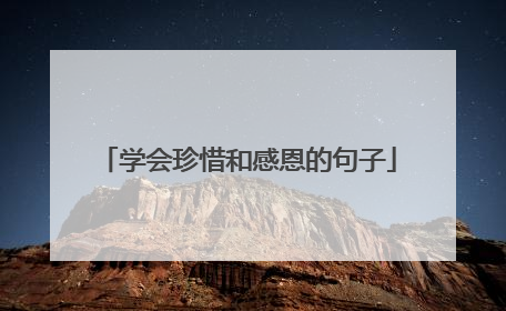 学会珍惜和感恩的句子