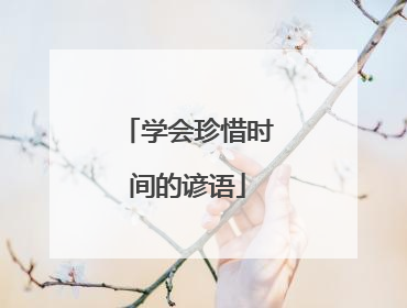 学会珍惜时间的谚语