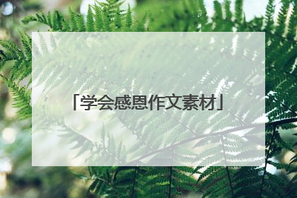 学会感恩作文素材