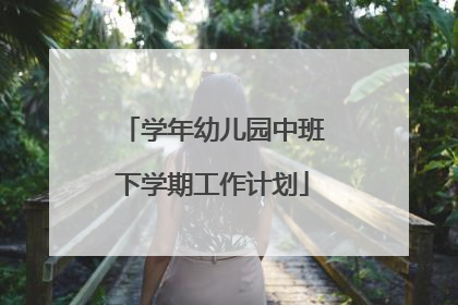 学年幼儿园中班下学期工作计划