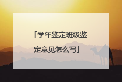 学年鉴定班级鉴定意见怎么写