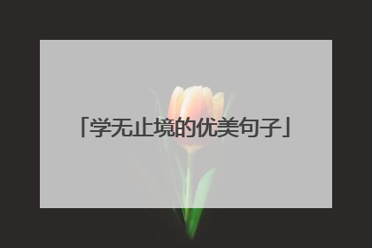 学无止境的优美句子