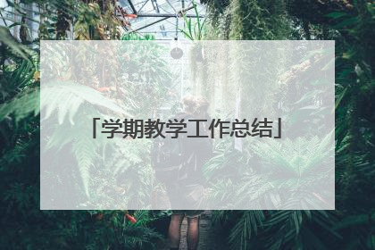 学期教学工作总结