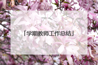 学期教师工作总结