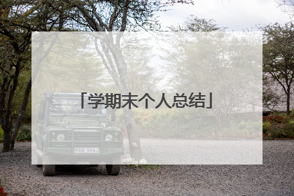 学期末个人总结