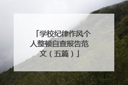 学校纪律作风个人整顿自查报告范文（五篇）