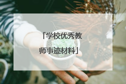 学校优秀教师事迹材料
