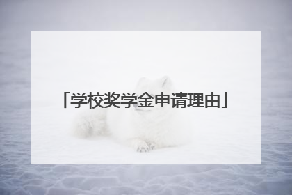 学校奖学金申请理由