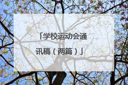 学校运动会通讯稿(两篇)