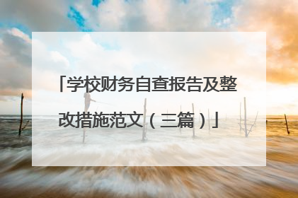学校财务自查报告及整改措施范文(三篇)