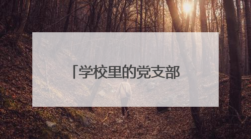 学校里的党支部转到村党支部预备党员转正怎么写会议记录?