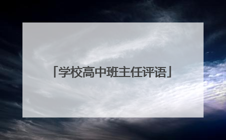 学校高中班主任评语