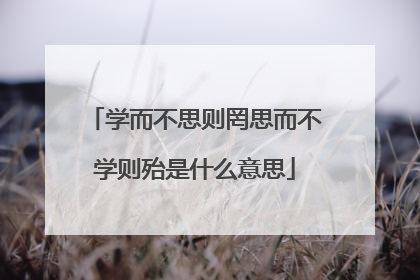 学而不思则罔思而不学则殆是什么意思
