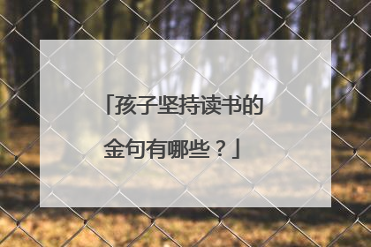 孩子坚持读书的金句有哪些?