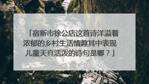 宿新市徐公店这首诗洋溢着浓郁的乡村生活情趣其中表现儿童天真活泼的诗句是哪?