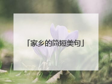 家乡的简短美句